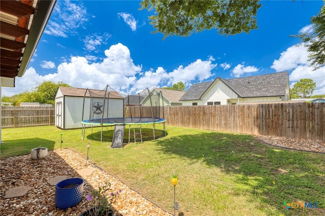 312 Holly Ave, Luling, TX 78648 - fenced backyard with a storage unit and a trampoline