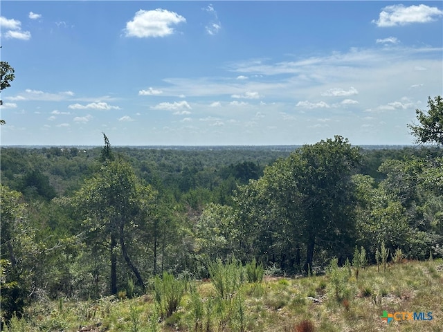 TBD Sandy Fork Rd, Harwood TX, 78632 land for sale