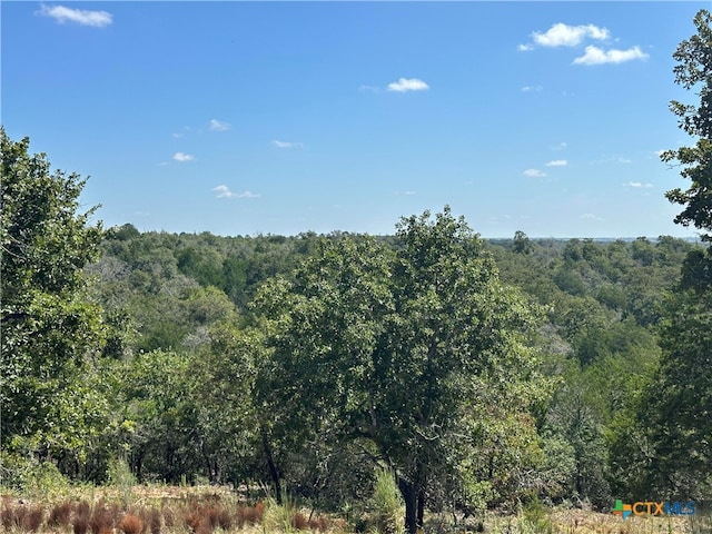 Listing photo 3 for TBD Sandy Fork Rd, Harwood TX 78632