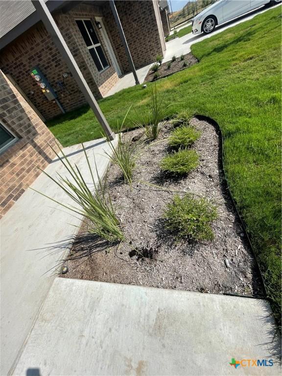 2408 Duntov Dr, Temple, TX 76504 - view of grassy yard