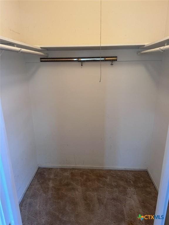 walk in closet featuring carpet