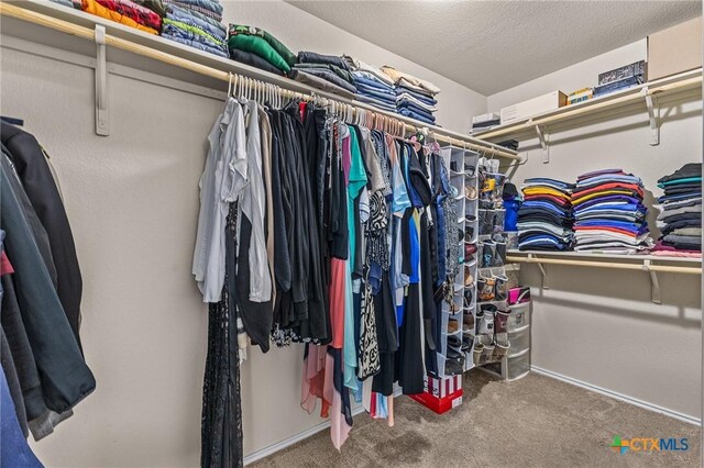 853 Hobby Rd, Copperas Cove, TX 76522 - spacious closet featuring carpet floors