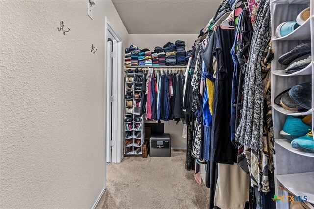 853 Hobby Rd, Copperas Cove, TX 76522 - spacious closet with carpet floors