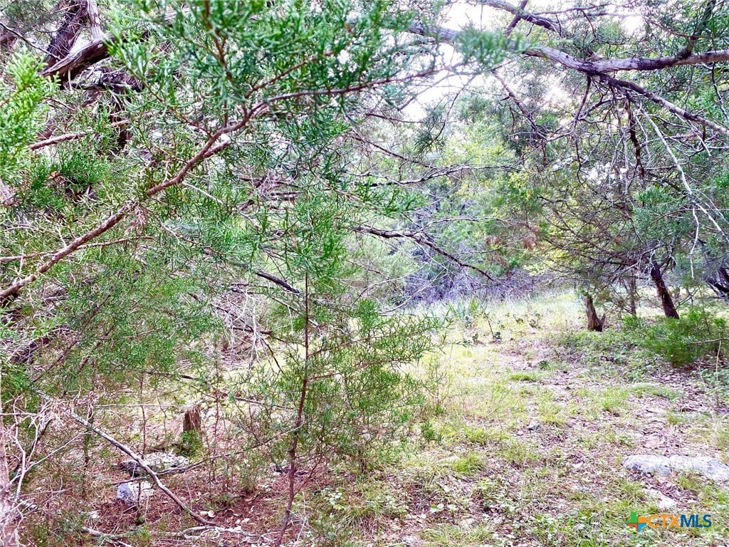 63 Cedar Trails Dr, Belton, TX 76513