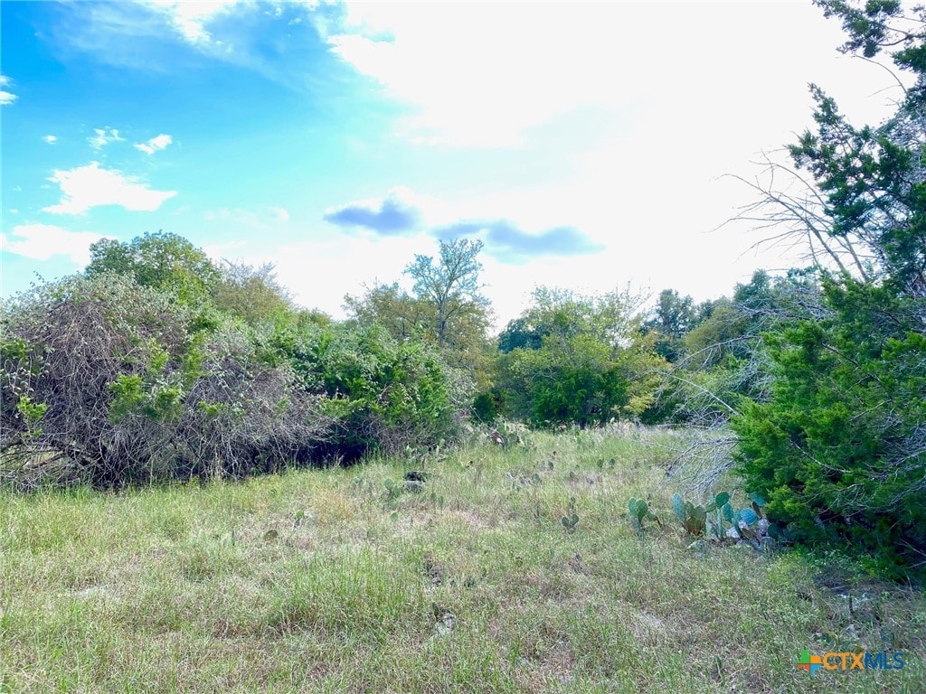 63 Cedar Trails Dr, Belton, TX 76513