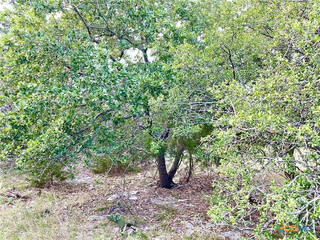 63 Cedar Trails Dr, Belton, TX 76513
