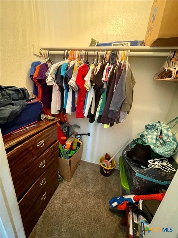 walk in closet with carpet floors