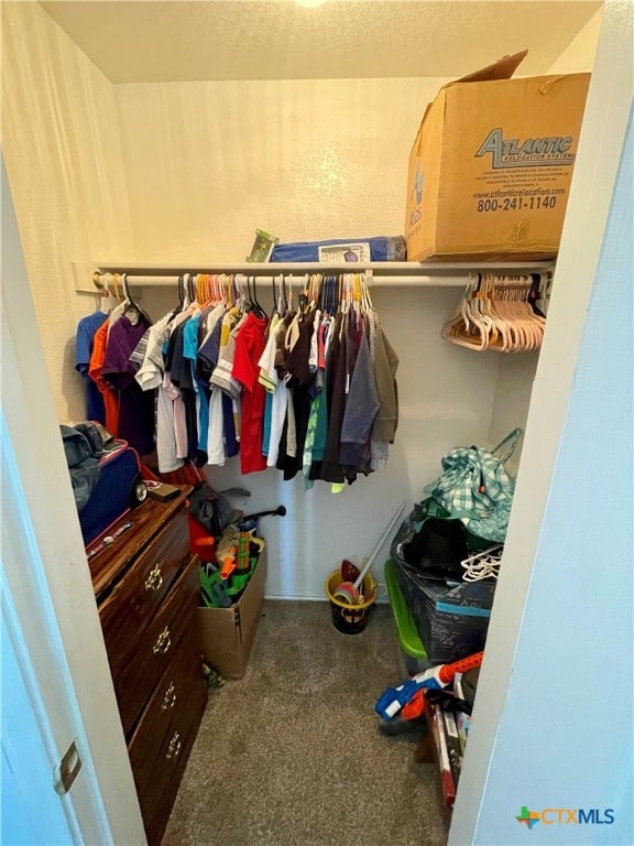 walk in closet featuring carpet floors