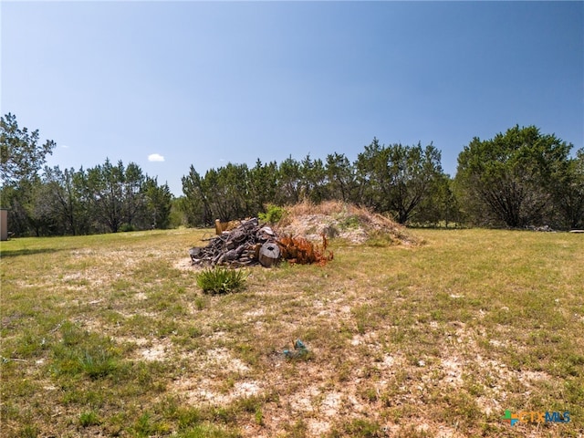 view of yard with a rural view