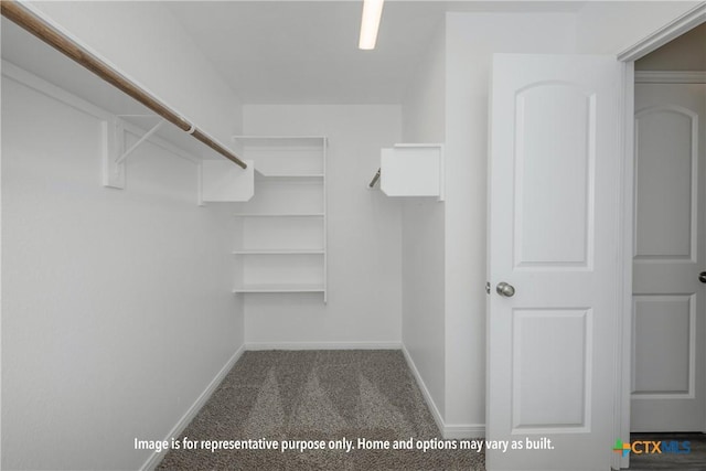 1214 Dowdy Dr, Belton, TX 76513 - spacious closet featuring carpet flooring