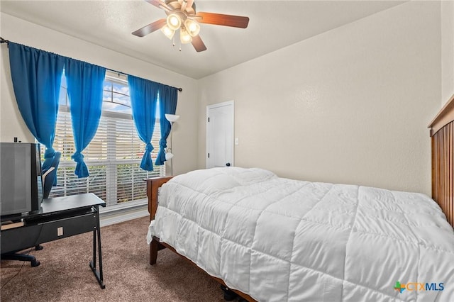 8213 Wellcrest Dr, Killeen, TX 76542 - photo 28