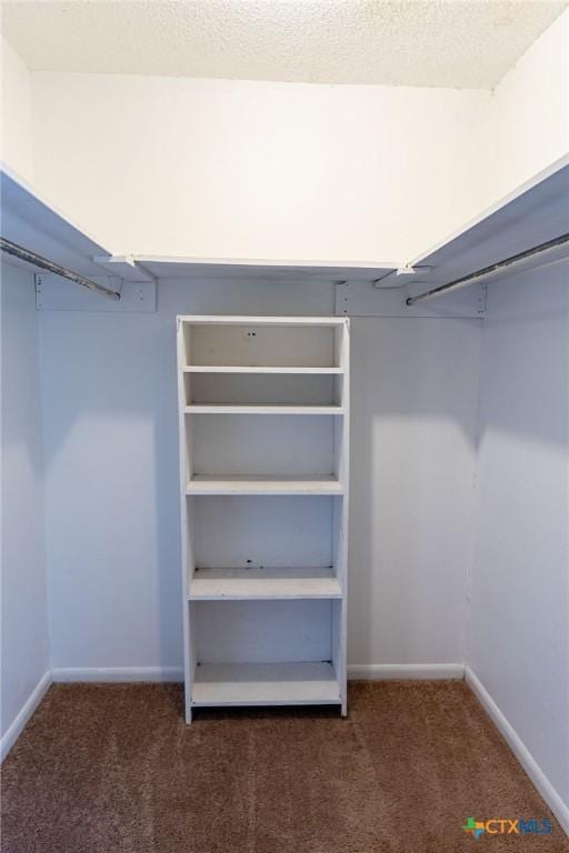 walk in closet featuring dark carpet