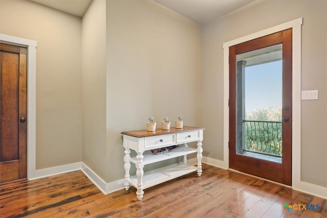 entryway featuring hardwood / wood-style flooring