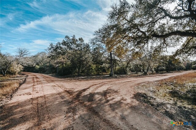 Listing photo 3 for TractF Vitek Lane, Inez TX 77968