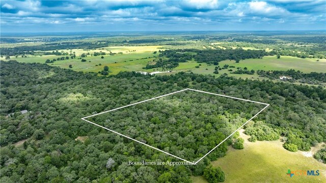 1202 Moonglow Ln, Caldwell, TX 77836 - photo 6