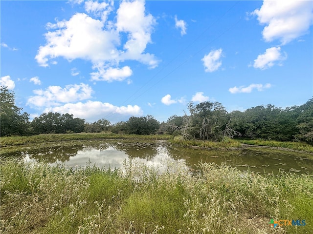 1345 Davis Rd, Flatonia TX, 78949 land for sale