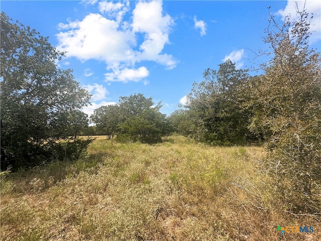 Listing photo 2 for 1345 Davis Rd, Flatonia TX 78949