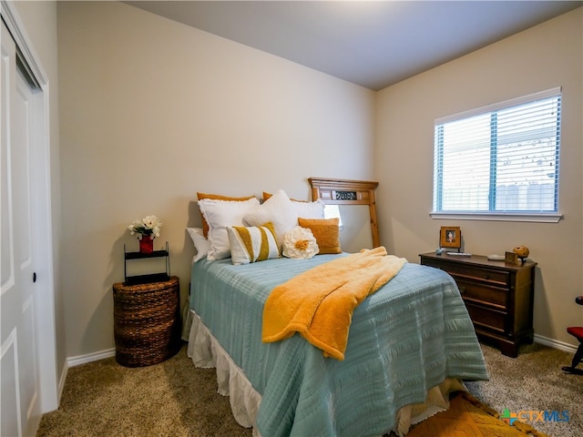 bedroom featuring a closet and light carpet