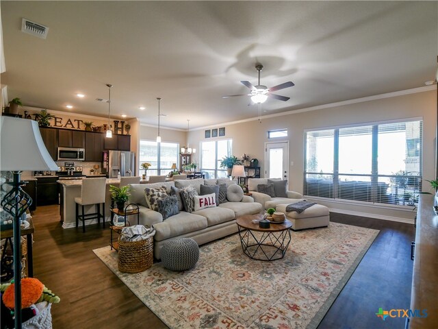 living room featuring dark wood-type flooring, ornamental molding, and ceiling fan with notable chandelier