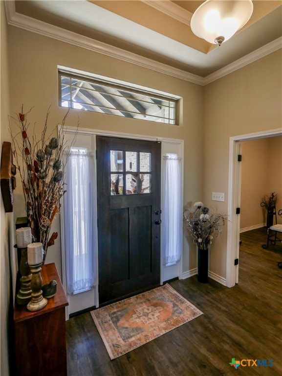 foyer entrance featuring ornamental molding, a healthy amount of sunlight, and dark hardwood / wood-style floors