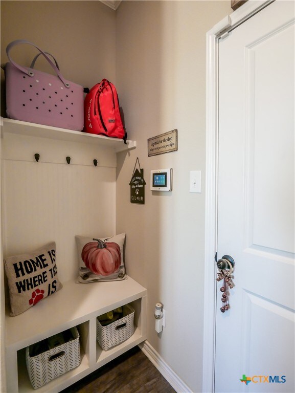 mudroom with dark wood-type flooring