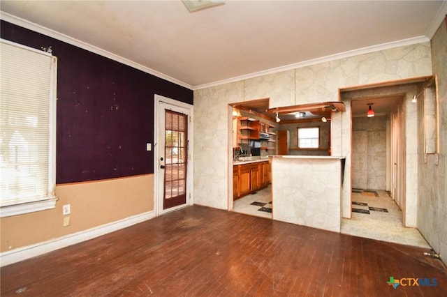 unfurnished living room with a healthy amount of sunlight, ornamental molding, sink, and hardwood / wood-style floors