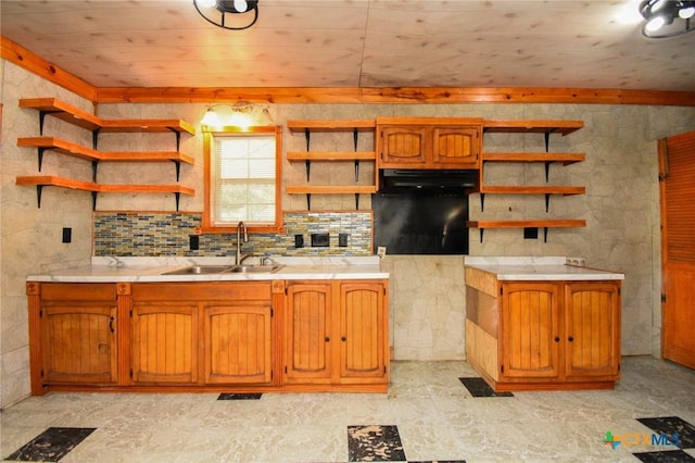 kitchen with tasteful backsplash, sink, and ventilation hood