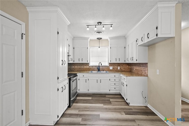 kitchen featuring stainless steel electric range, a sink, dark wood finished floors, white cabinetry, and backsplash