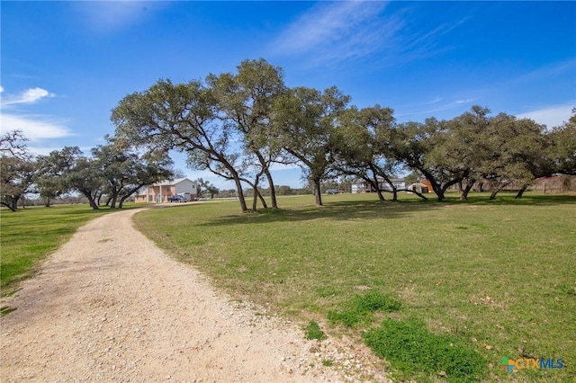 view of home's community featuring dirt driveway and a yard
