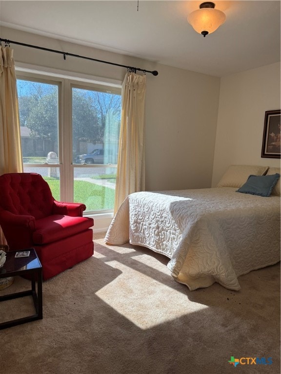 bedroom featuring carpet floors and multiple windows