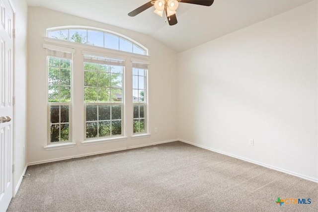 1328 Blue Leaf Dr, Temple, TX 76502 - carpeted empty room with baseboards, a ceiling fan, and vaulted ceiling