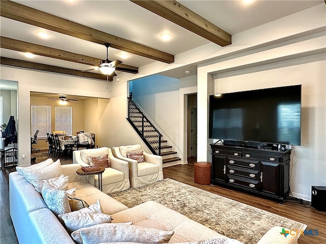 living room featuring dark hardwood / wood-style flooring, beamed ceiling, and ceiling fan