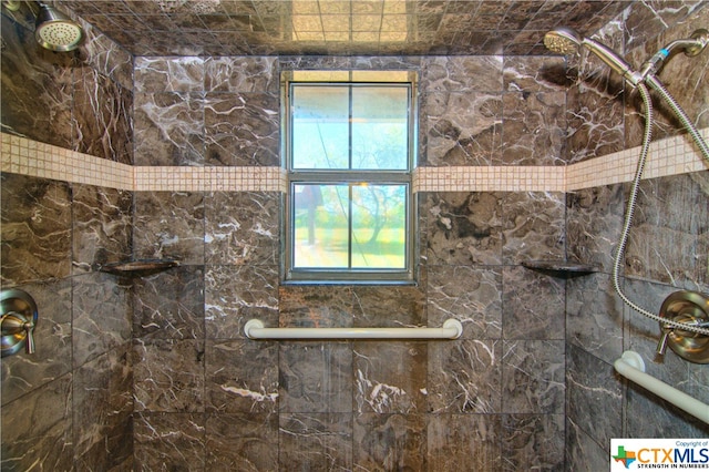 bathroom featuring a wealth of natural light