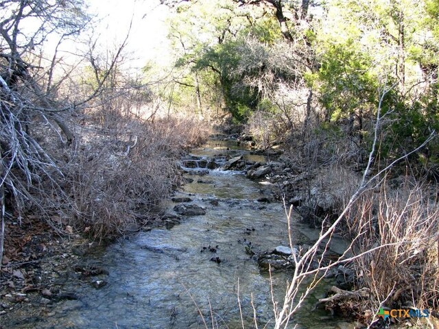 TBD County Road 186, Jonesboro, TX 76538 - photo 3