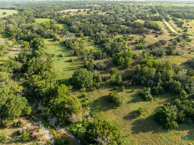 TBD County Road 186, Jonesboro, TX 76538 - photo 15