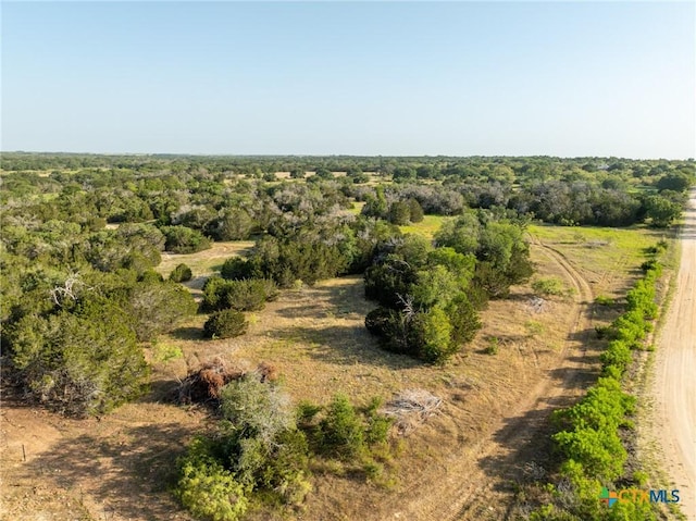 TBD County Road 186, Jonesboro, TX 76538 - photo 25