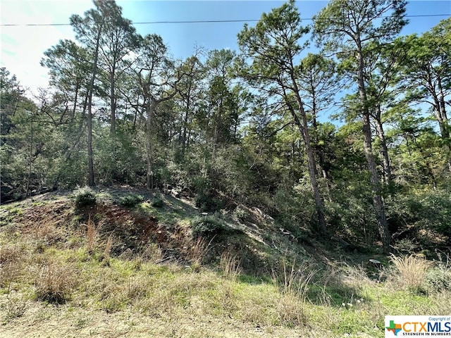 168 Molokini Dr, Bastrop TX, 78602 land for sale