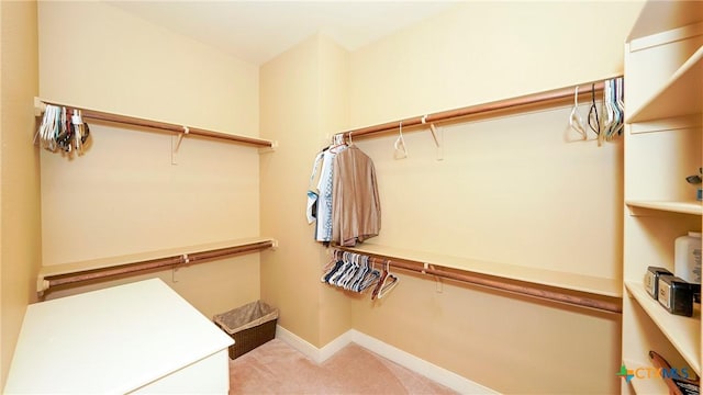 walk in closet with light colored carpet