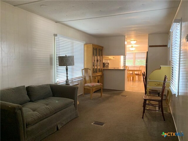 111 Valley View St, Canyon Lake, TX 78133 - photo 25