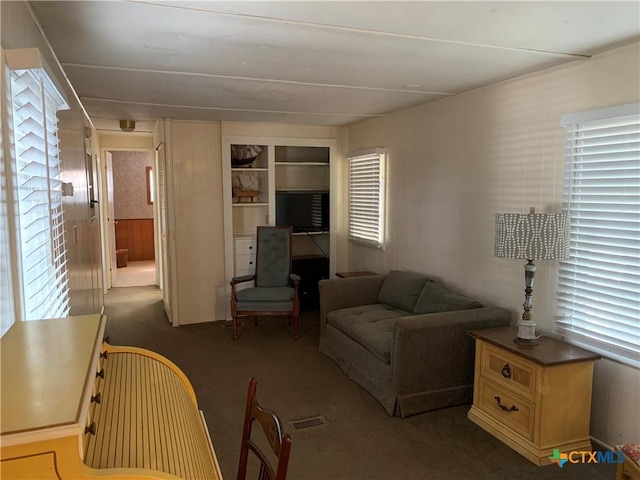 111 Valley View St, Canyon Lake, TX 78133 - photo 24