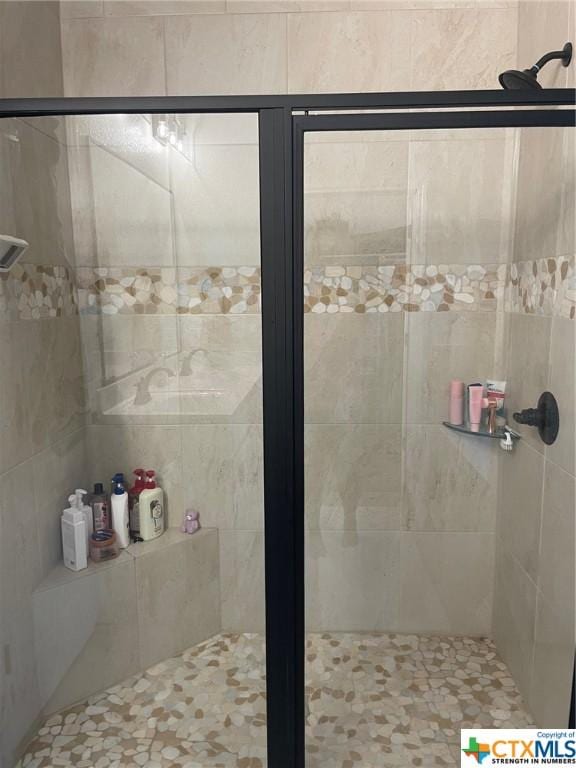 bathroom featuring a shower with shower door