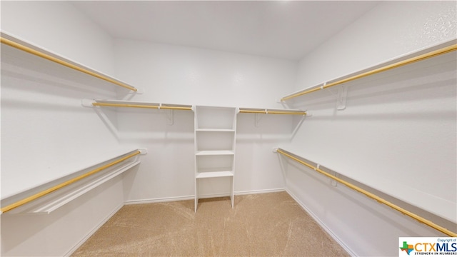 walk in closet with light carpet