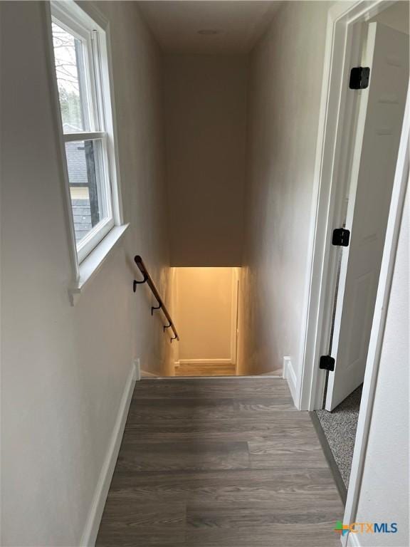 staircase featuring hardwood / wood-style floors