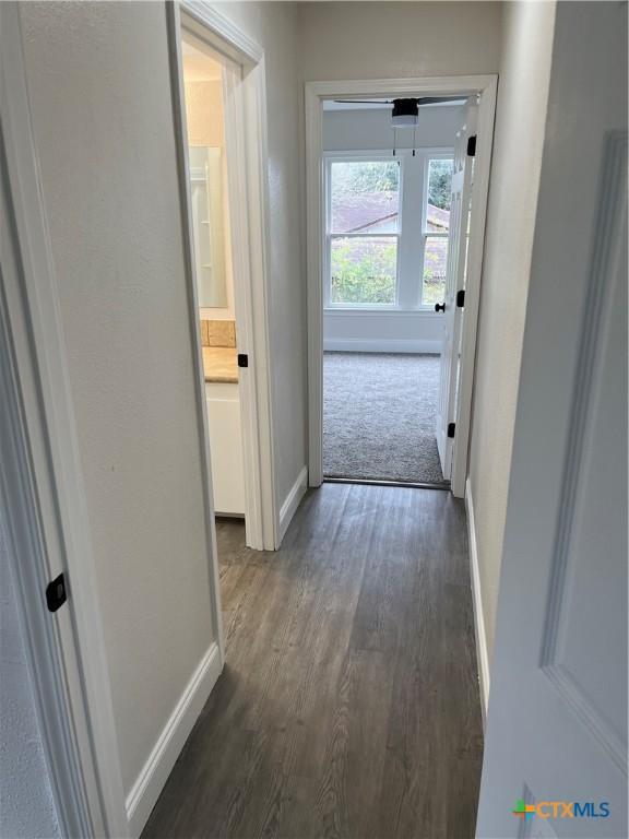 hall featuring dark hardwood / wood-style floors