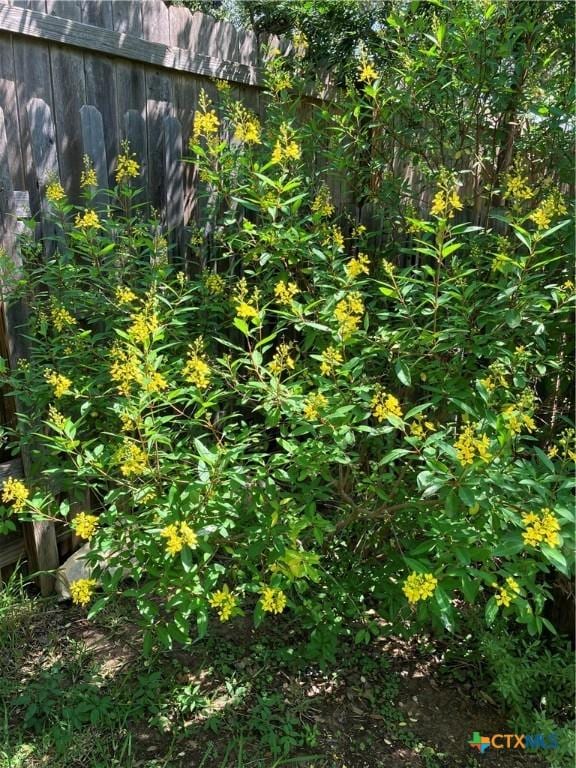 9100 Brimstone Ln, Austin, TX 78717 - view of yard