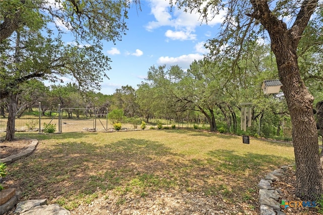 721 Gallagher Dr, Canyon Lake, TX 78133 - view of yard featuring a gate