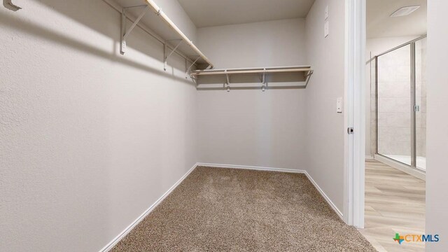 spacious closet with wood-type flooring