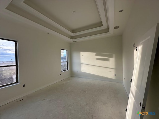 spare room with a tray ceiling and a healthy amount of sunlight