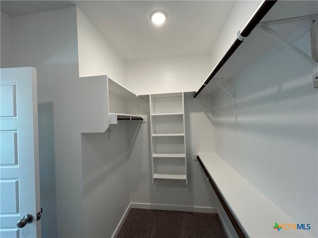 250 Wind Ridge Dr, Copperas Cove, TX 76522 - spacious closet featuring dark colored carpet