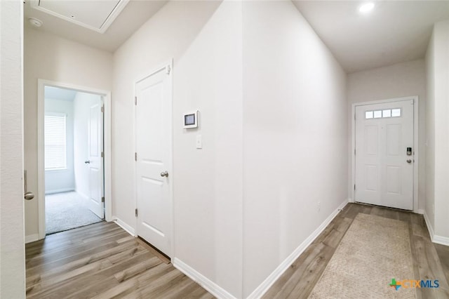 corridor featuring plenty of natural light and light hardwood / wood-style flooring